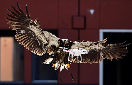 NETHERLANDS-WILDLIFE-TECHNOLOGY-POLICE